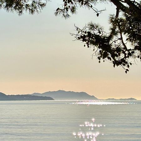 Lavande Centre Ancien Port Plages By Laconciergerie13 La Ciotat Bagian luar foto